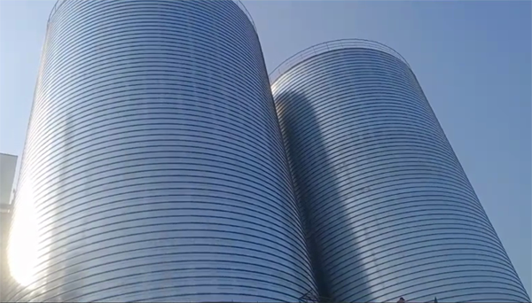 蓬溪2座混凝土高架卷板仓